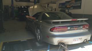 Trans am dyno lq4 tsp 233239 cam [upl. by Ariana]