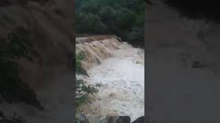 Barragem no sítio cachoeira grande em Saboeiro sangrando muita água pra vim pro Orós [upl. by Nylle]