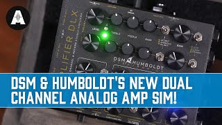 NEW DSM amp Humboldt Simplifier Deluxe  Incredible Tones from a Tiny Box [upl. by Oremoh]