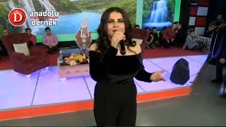 Tülay Maciran  Eşinden Ayrılan Yaralı Ördek Canlı Performans [upl. by Sset]