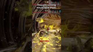 Acolytes always running warframe warframegameplay warframecommunity [upl. by Venditti]