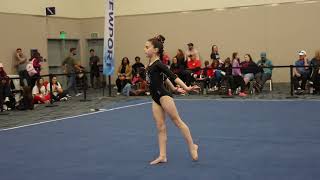 Shiloh Tendler 2nd Place Floor Calif Grand Invite 2024 Wildfire Gymnast Level 3 [upl. by Fawcett]