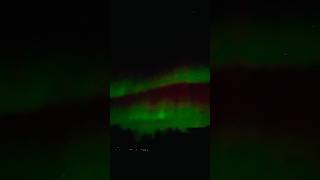 Beautiful Northern Lights are amazing shorts [upl. by Ehrsam160]