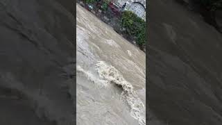 Hochwasser beim Stadtpark Wien 3 [upl. by Neisa162]