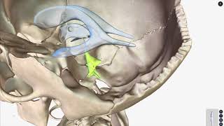 An Overview of the Ventricular System of Brain [upl. by Eras]