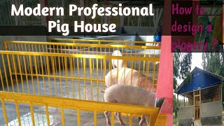 A modern professional pig house [upl. by Ronym130]