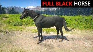 Full Black Rare Race Horse Location  RDR2 [upl. by Ellehsim]