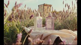 La Collection Lavande Blanche  LOCCITANE [upl. by Aem]