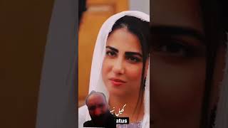 Parizaad best scene episode 20 pakistanidrama entertainment urdupoetry viral [upl. by Letnahs753]