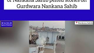 Pakistani 🐷 Pelts Stones At Nankana Sahib  Real Sikhs Against Khalistan [upl. by Vernon226]