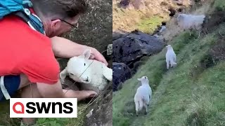 Heartwarming moment walkers rescue lamb trapped between rocks  SWNS [upl. by Elyr]