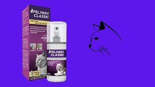 Before You Buy FELIWAY Cat Calming Pheromone Spray [upl. by Akelam948]