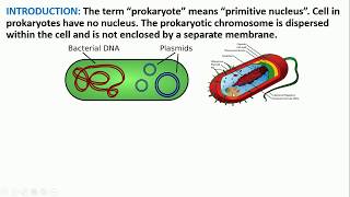 Organization of chromosome in prokaryotes [upl. by Ailiec]