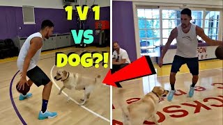 Klay Thompson Plays 1v1 Against a DOG [upl. by Walls]