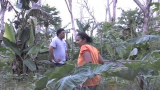 THE PACIFIC WAY STORY  MORDI Tonga Innovative Rural Development [upl. by Ydnih]