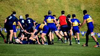 Toowoomba Grammar 1st XV 2015 [upl. by Danika]