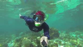 Lac Bay Bonaire by Snorkeling Quest [upl. by Ahusoj]