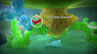 Ibalizumab video series 3 Ibalizumab mechanism of action [upl. by Latterll]