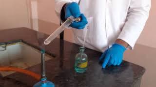 AMMONIUM ION Test ZERO Group by  Seema Makhijani Cation Class 11 and 12 CBSE [upl. by Enneite]