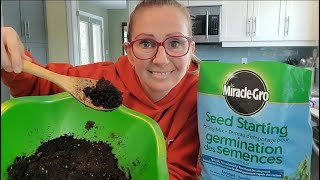 How to CLEAN your soil BEFORE planting seeds  Kill Fungus Gnat Larvae [upl. by Ennaillij]