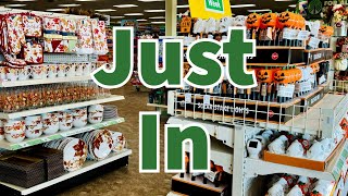 Dollar Tree 2024  NEW Finds This Week😮😮😮 [upl. by Kenwee143]