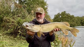 Fishing Himley Hall for Pike [upl. by Decato938]