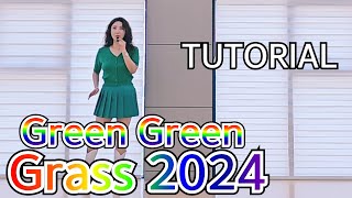 Green Green Grass 2024 Line Dance TUTORIAL 스텝설명 초급라인댄스 [upl. by Ddal]