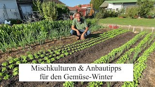 Der ideale WINTERGEMÜSEGUIDE 🥬 Mischkulturen Anbautipps Düngung amp Bewässerung im Überblick [upl. by Hnacogn472]