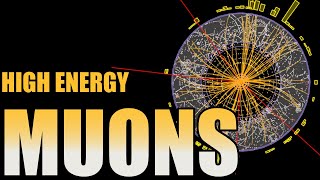 Muons Super Electrons [upl. by Aicenod768]