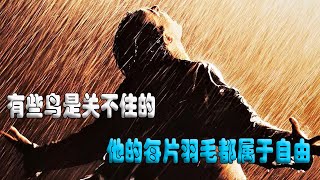 【完整版】即使身處牢籠，也要有美好的嚮往，有些鳥是關不住的 [upl. by Kciredohr]