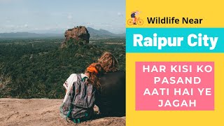 Places To Visit Near Raipur  Best Holiday Destination In Chhattisgarh  Barnawapara  Bhoramdev [upl. by Airoled]