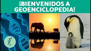 ¿Qué es BIOENCICLOPEDIA y qué puedes ENCONTRAR 💚 ¡Te damos la bienvenida Biología Ciencia Etc [upl. by Harald]