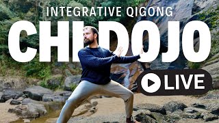 Chi Dojo Integrative Qigong LIVE  3 Dragons Class [upl. by Handal]