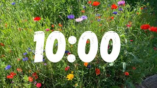 10 Minute Timer with Birds and Wildflowers  Spring Vibes [upl. by Flanna723]