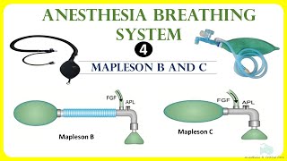 Mapleson B and C Anesthesia breathing system [upl. by Teerell106]