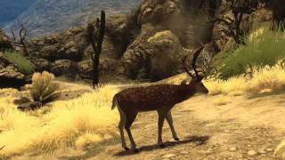 Cabelas Big Game Hunter 2010  long dev trailer [upl. by Sawyor290]