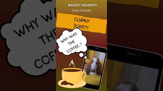 Corny coffee joke from Basset Hounds daily comedy Hilarious 😂 [upl. by Nallak349]