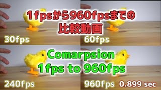 FPSによる動画の違い！1fpsから960fpsまで！ FPS Comparison from 1fps to 960fps [upl. by Navetse]