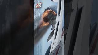 Bird strike on airplane ✈️ knowit plane [upl. by Eiroj]