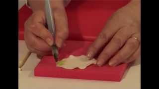 How To Make A Fondant Arum Lily using FMM cutters [upl. by Nomra]