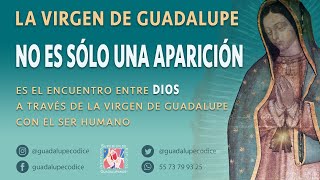 Las apariciones de la Virgen de Guadalupe  Padre Eduardo Chávez [upl. by Tsugua984]