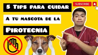 TIPS PARA CUIDAR A TU MASCOTA DE LA PIROTECNIA  MVZ  Vinicio Samaniego pirotecnica tips [upl. by Uriah]