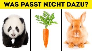 Beantworte 1 Frage um deine Denkweise herauszufinden [upl. by Gall578]