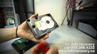 data recovery clicking western digital WD5000AAKS [upl. by Blanka]