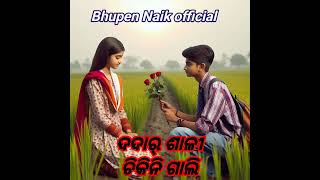 ଦଦାର ଶାଳୀ ଚିକିନି ଗାଲି DADAR SALI CHIKINI GALI NEW SAMBALPURI SONG BHUPEN NAIK OFFICIAL [upl. by Yedoc]