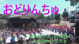 【おどりんちゅ】土佐学生よさこい大会 第71回よさこい祭り2024 ”高知城演舞場” [upl. by Rj1]