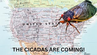 Cicadas Are Coming In The Billions [upl. by Sathrum983]