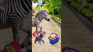 rabbit and zebras take my kinder joy cat cutecat trendingshorts [upl. by Anolahs]