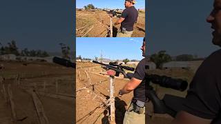 PRECISION ACCURACY  FX DRS  PIGEON HUNTING [upl. by Aile]