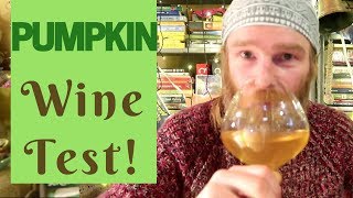 Pumpkin Wine Taste Test What is it like [upl. by Anahsat]